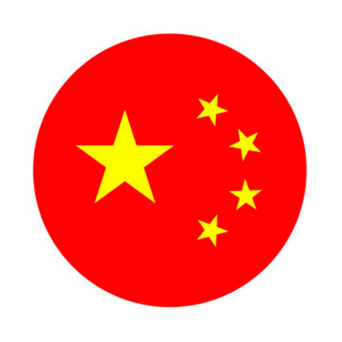 APRENDA CHINÊS SOZINHO image.
